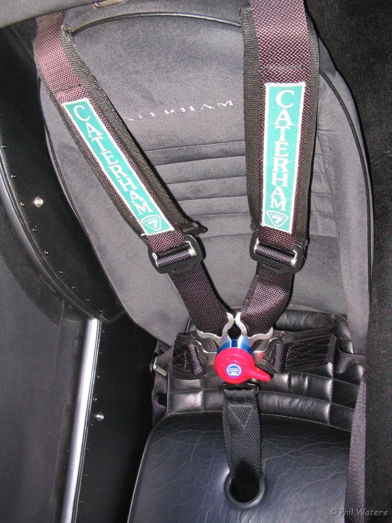 6-Point Harness.JPG - 4 point harness